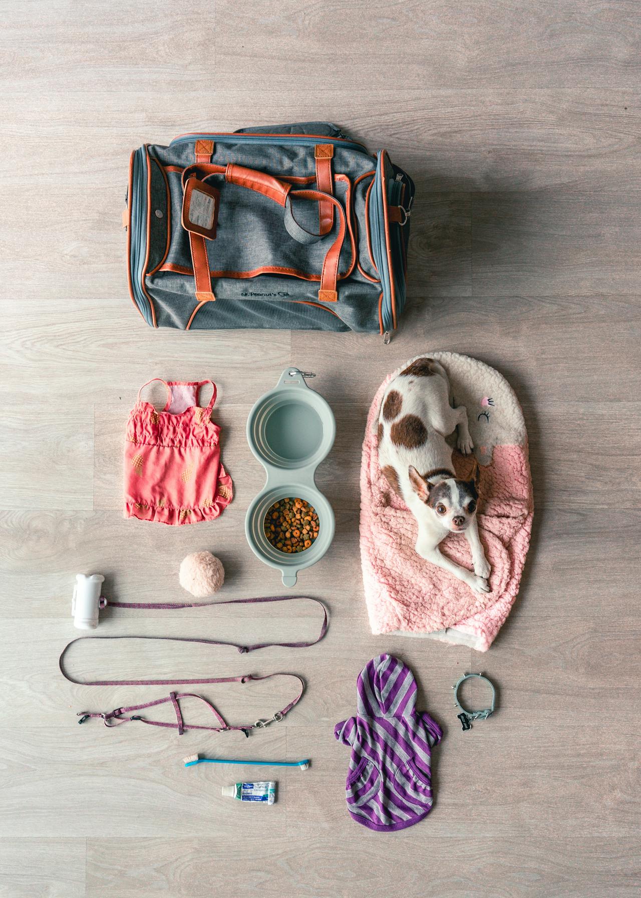 Pet Haven
